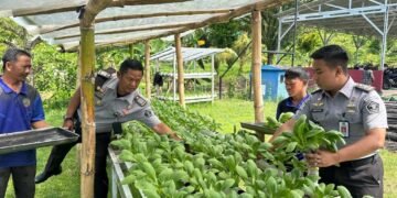 Panen Sayur Hidroponik, Upaya Lapas Mandirikan Warga Binaan