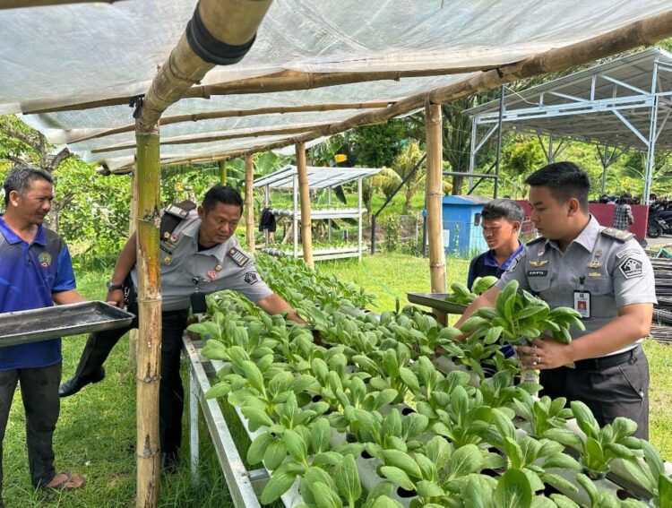 Panen Sayur Hidroponik, Upaya Lapas Mandirikan Warga Binaan