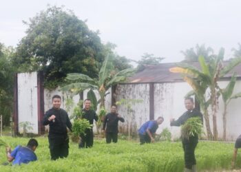 Lapas Tarakan Berdayakan Warga Binaan, Manfaatkan Lahan Sarana Asimilasi