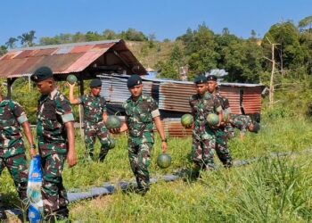 Wujudkan Program Ketahanan Pangan, Yonif 613 Raja Alam Kembali Panen Semangka 550 Kg
