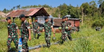 Wujudkan Program Ketahanan Pangan, Yonif 613 Raja Alam Kembali Panen Semangka 550 Kg