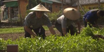 Momen Panen Raya Ratusan Kilogram Sayur dan Buah, Optimisme Lapas Tarakan Wujudkan Ketahanan dan Kemandirian Pangan Nasional