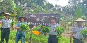 Rangkul Penyedia Bahan Makanan, Lapas Tarakan Kembali Panen Raya Ratusan Kilogram Sayuran