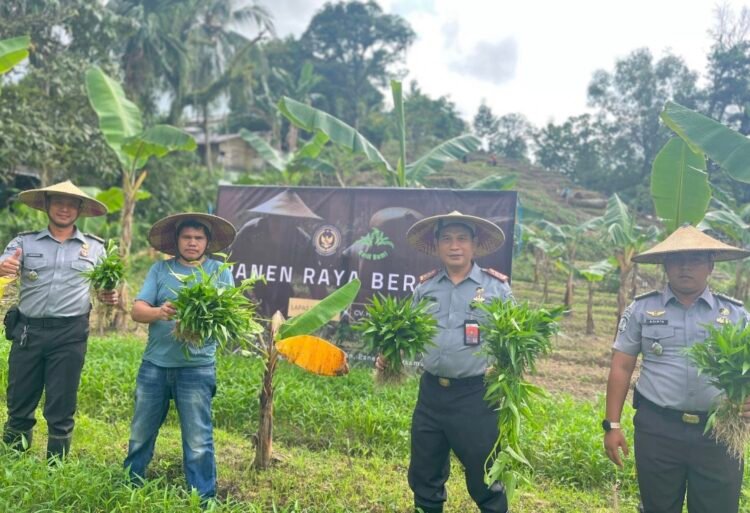 Rangkul Penyedia Bahan Makanan, Lapas Tarakan Kembali Panen Raya Ratusan Kilogram Sayuran