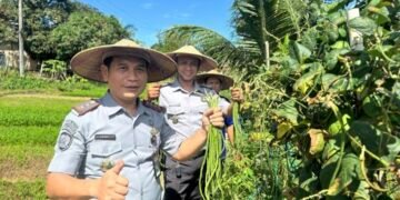 Lapas Tarakan Kembali Panen Sayur Holtikultura, Dukung Program Ketahanan Pangan