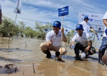 Hari Keanekaragaman Hayati, Wali Kota Ikut Tanam 5.000 Bibit Mangrove,  Harapkan Zero Emisi Karbon, Bisa Jadi Pemecah Ombak Tsunami