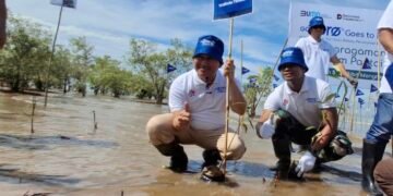 Hari Keanekaragaman Hayati, Wali Kota Ikut Tanam 5.000 Bibit Mangrove,  Harapkan Zero Emisi Karbon, Bisa Jadi Pemecah Ombak Tsunami
