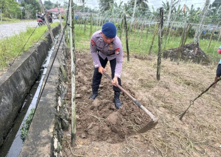 Detasemen Gegana Satbrimob Polda Kaltara Dukung Ketahanan Pangan Dengan Budidaya Kangkung