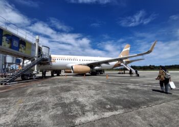 Inflasi 2025 Masih Terjaga, Ada Diskon Tiket Pesawat Bantu Tekan Kenaikan Harga Angkutan Udara