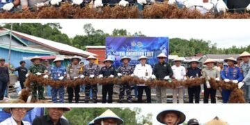 Panen Raya Rumput Laut, Upaya Dukung Ketahanan Pangan Maritim