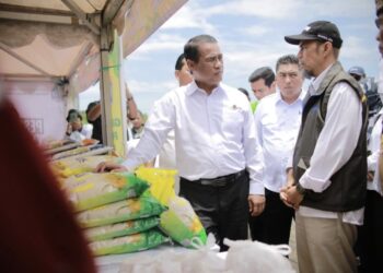 Mentan Amran Dorong Kaltara Jadi Lumbung Pangan Perbatasan dan Pintu Ekspor