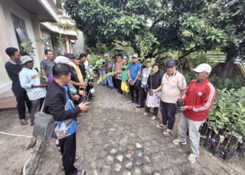 Anggota DPR RI Dapil Kaltara  H. Hasan Saleh Salurkan 25.000 Bibit ke Kelompok Tani Tarakan