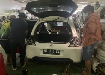 Upaya Berantas Peredaran, BNNP Kalimantan Utara Tingkatkan Pengawasan di Pelabuhan Feri Juata Laut Tarakan