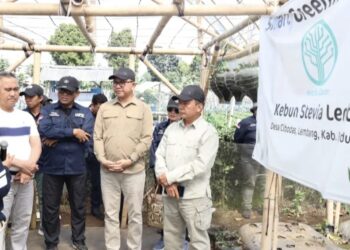 Terapkan Strategi Jaga Inflasi,  Sepanjang 2025 KPwBI Kaltara Laksanakan 87 Kegiatan Pasar Murah