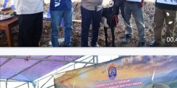 24 Ekor Kambing Bantuan Hibah Pemkot Diserahkan ke Poktan Rojo Koyo, Wujudkan Kemandirian Tambah Populasi Ternak