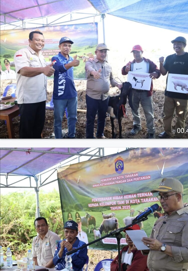 24 Ekor Kambing Bantuan Hibah Pemkot Diserahkan ke Poktan Rojo Koyo, Wujudkan Kemandirian Tambah Populasi Ternak
