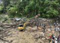 Bencana Longsor dan Banjir di Aceh serta Sumbar Dilaporkan 225 Meninggal Dunia, 193 Jiwa Masih Dinyatakan Hilang