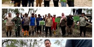 Anggota DPR RI Komisi IV Dapil Kaltara Hasan Saleh Gandeng BPDAS Mahakam Berau Tanam Bibit Mangrove