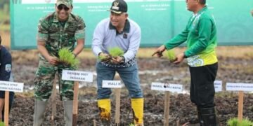 Tanam Padi Perdana di Lokasi Cetak Sawah Juata Kerikil, Harapkan Bisa Swasembada Pangan