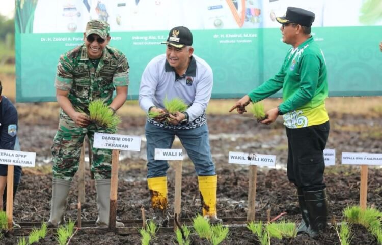 Tanam Padi Perdana di Lokasi Cetak Sawah Juata Kerikil, Harapkan Bisa Swasembada Pangan