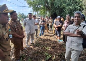 Ketua DPRD Tarakan Tinjau PKL Kampung Enam, Minta Relokasi Ditunda Usai Muncul Klaim Kepemilikan Lahan