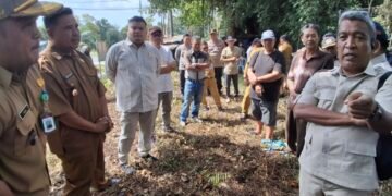 Ketua DPRD Tarakan Tinjau PKL Kampung Enam, Minta Relokasi Ditunda Usai Muncul Klaim Kepemilikan Lahan