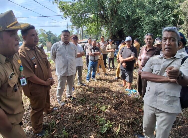 Ketua DPRD Tarakan Tinjau PKL Kampung Enam, Minta Relokasi Ditunda Usai Muncul Klaim Kepemilikan Lahan