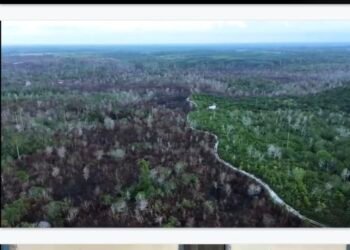 Di Tengah Sengketa Lahan PSN KIPI, Warga Kampung Baru Pilih Jalur Musyawarah dan Hukum