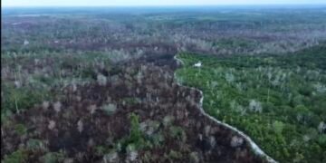 Di Tengah Sengketa Lahan PSN KIPI, Warga Kampung Baru Pilih Jalur Musyawarah dan Hukum