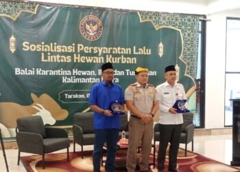 Jelang Iduladha, DPRD Tarakan Soroti Ancaman Over Pasokan Ternak dari Luar Daerah