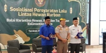 Jelang Iduladha, DPRD Tarakan Soroti Ancaman Over Pasokan Ternak dari Luar Daerah