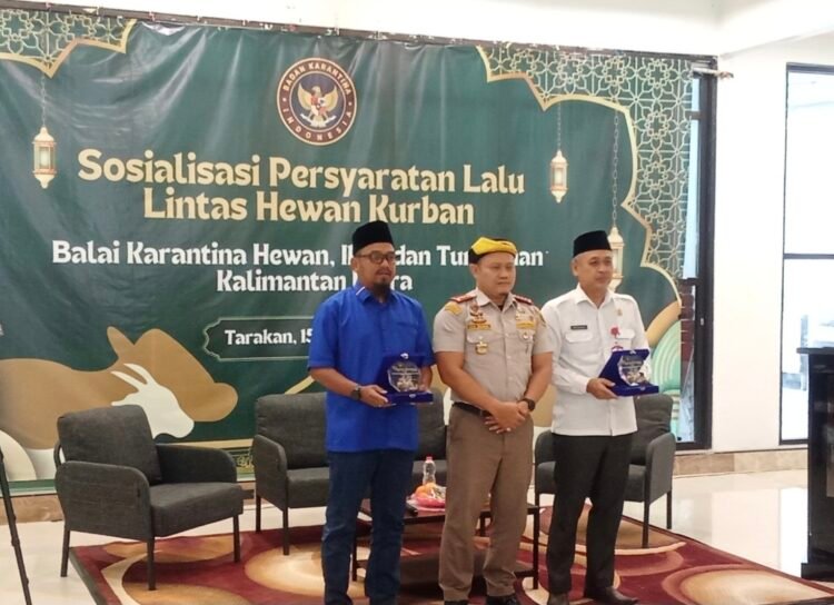 Jelang Iduladha, DPRD Tarakan Soroti Ancaman Over Pasokan Ternak dari Luar Daerah