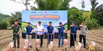 Pupuk Kaltim Perkuat Ketahanan Pangan dan Kesejahteraan Petani Lewat Program Agrosolution di Bone Bolango