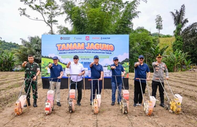 Pupuk Kaltim Perkuat Ketahanan Pangan dan Kesejahteraan Petani Lewat Program Agrosolution di Bone Bolango