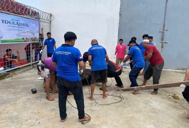 Idul Adha di Lapas Tarakan, 13 Hewan Kurban Disembelih untuk WBP dan Warga Sekitar
