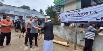 Jumlah Hewan Kurban di Polres Tarakan Naik Drastis, Tahun Ini Capai 8 Ekor Sapi
