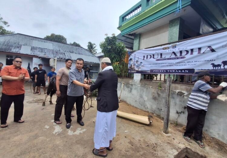 Jumlah Hewan Kurban di Polres Tarakan Naik Drastis, Tahun Ini Capai 8 Ekor Sapi