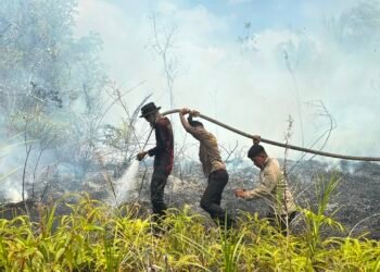 Gerak Cepat 65 Personel Dit Samapta Polda Kaltara Padamkan Karhutla di SP 6 Tanjung Selor, Fire Hose Ditarik 1,5 Kilometer