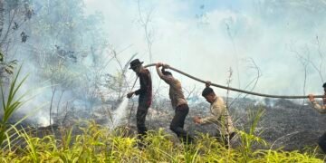 Gerak Cepat 65 Personel Dit Samapta Polda Kaltara Padamkan Karhutla di SP 6 Tanjung Selor, Fire Hose Ditarik 1,5 Kilometer