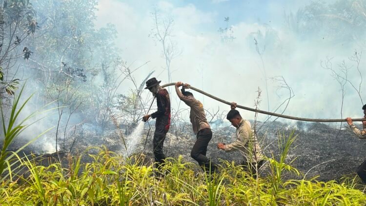 Gerak Cepat 65 Personel Dit Samapta Polda Kaltara Padamkan Karhutla di SP 6 Tanjung Selor, Fire Hose Ditarik 1,5 Kilometer