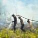 Gerak Cepat 65 Personel Dit Samapta Polda Kaltara Padamkan Karhutla di SP 6 Tanjung Selor, Fire Hose Ditarik 1,5 Kilometer