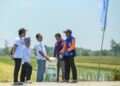 Pupuk Kaltim Perkuat Pendampingan Agrosolution Lewat Pemupukan Padi di Pojokrejo Jombang